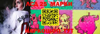 гашик Обь